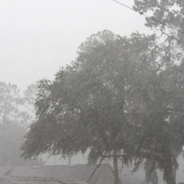 thumbnail for publication: Up in the Air and Down in the Water: Connections Between Air and Water Quality in Florida’s Tampa Bay